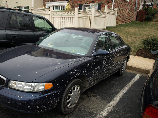 Dirty Cars - 7 Fascinating Facts About Cars